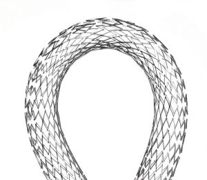 Everflex